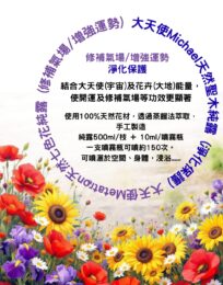 ?brizy media=wp 912c0056a90a73d0444cee45ee075404