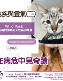 ?brizy media=wp fca1faece1398e8d493521b24d876726