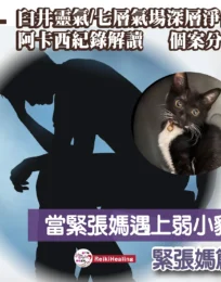 ?brizy media=wp 3ce4462f394a36b382f54d132f22919b