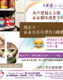 ?brizy media=wp 6f060938043d58c41a3127cd9f6a360a