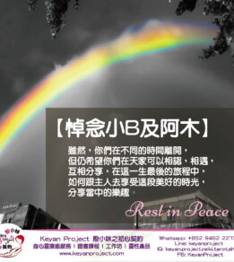 ?brizy media=wp 85f7571d62b2330c4eca53aaad6e7e57