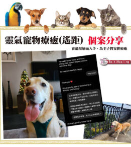 ?brizy media=wp dbfa57cea8d64bce57c82fb1c25c2ccc