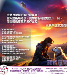 ?brizy media=wp fb7ac8260b054969cf421182e777ad2d