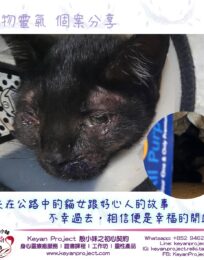 0327_工作區域 1 0327 工作區域 1