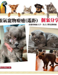 145697861 2295774030556819 124141367895882996 n 01 scaled