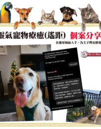 151779016 2308565242611031 6219847752444049511 n 1