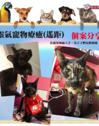 175072185 2360556770745211 4367171755466726537 n