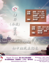 2025 reikicourse ad 工作區域 1 複製