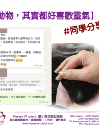 250224 工作區域 1