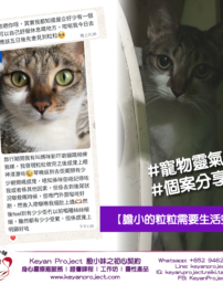 250304 工作區域 1