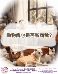 250925pet 工作區域 1 scaled