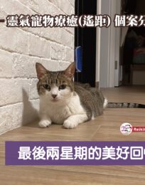 283911263 2717790308355187 1767201633675473479 n