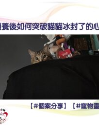 297569184 461350659334488 4860894918570366606 n