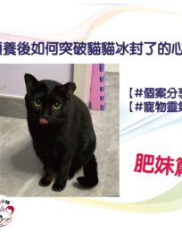 298807071 471874771615410 1203927526968894855 n