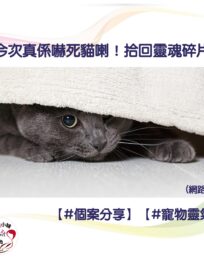 299646916 472615648207989 5993277137423028963 n