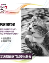 699cab 3df23691beb347b0b13e1ce06199b5a1mv2