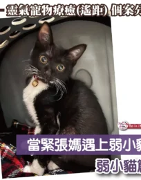 699cab 55320420084743aa8963fef2fcf24c1cmv2