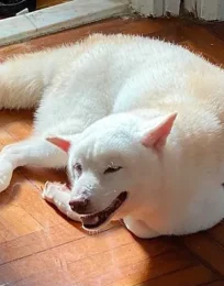 699cab a21579ccbed246a69b23e1cddd93ed35mv2