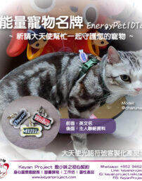 pettag2024 工作區域 1