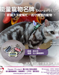 pettag2024_工作區域 1 pettag2024 工作區域 1