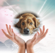 reiki banner3 工作區域 1 e1727886013685