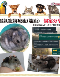 螢幕擷取畫面 2024 10 21 203606