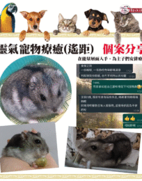 螢幕擷取畫面 2024 10 21 203606