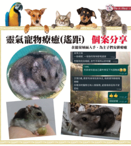 螢幕擷取畫面 2024 10 21 203606