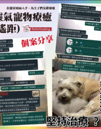 螢幕擷取畫面 2024 10 21 214928