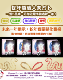 豐盛 工作區域 1 複製
